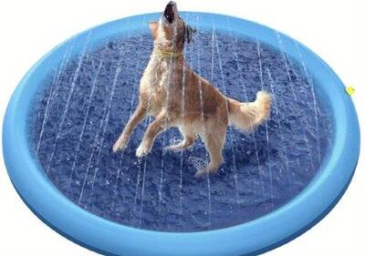 Pet Hub Heavy Duty Outdoor Pet Bathing Basin With Spray Function Non Slip Dog Water Play Mat For Summer Fun & Easy Cleaning solid Color 100cm