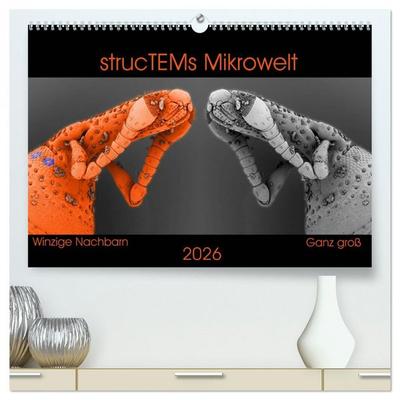 strucTEMs Mikrowelt - Winzige Nachbarn ganz groß (hochwertiger Premium Wandkalender 2026 DIN A2 quer), Kunstdruck in Hochglanz