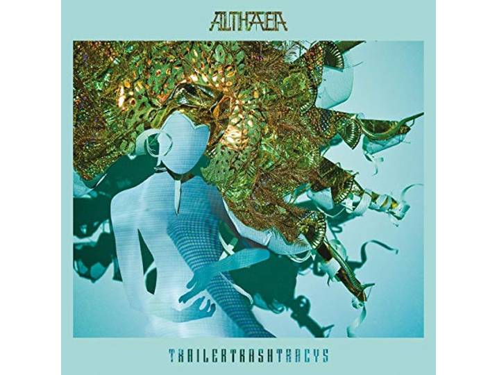 Althaea