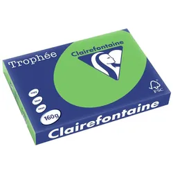Clairalfa, Kopierpapier, Multifunktionspapier, DIN A3, 160 g/qm, maigrn (A3, 160 g/m2)