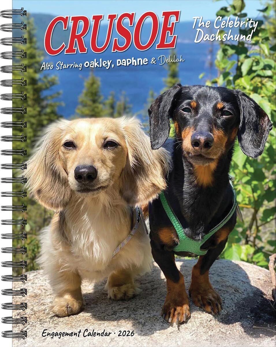 Crusoe the Celebrity Dachshund 2026 Engagement Calendar - Preis vom 09.10.2026 07:28:09 h
