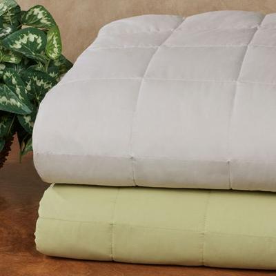 Feather & Fill Cozy Down Blanket, Queen, Silver Gray