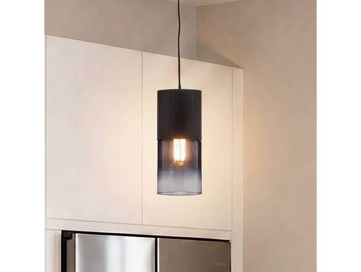 Trio Lighting Schienen-Hängeleuchte Robin für DUOline, schwarz/rauchgrau Robin, dimmbar, schwarz, für Wohn- / Esszimmer, Metall, Modern, Schienensysteme