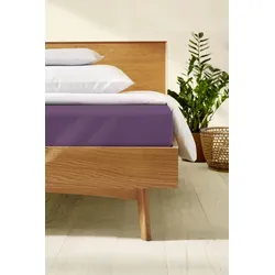 kaeppel Spannbetttuch Jersey Elasthan brombeer 100x200 cm