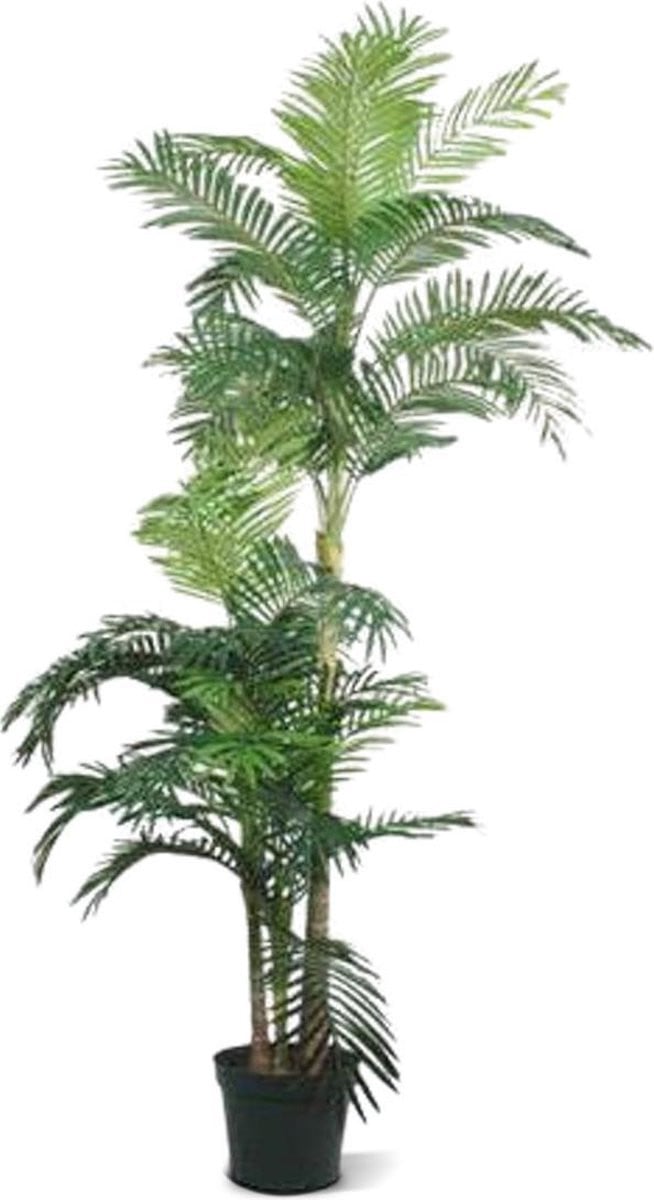 Maxifleur Kunstpalm Golden Cane Areca x3, Hoogte: 180 cm