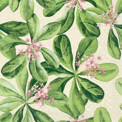 Mank Serviette aus Tissue, Design Jane, 33 x 33 cm, 100 Stück - Floral Blumen