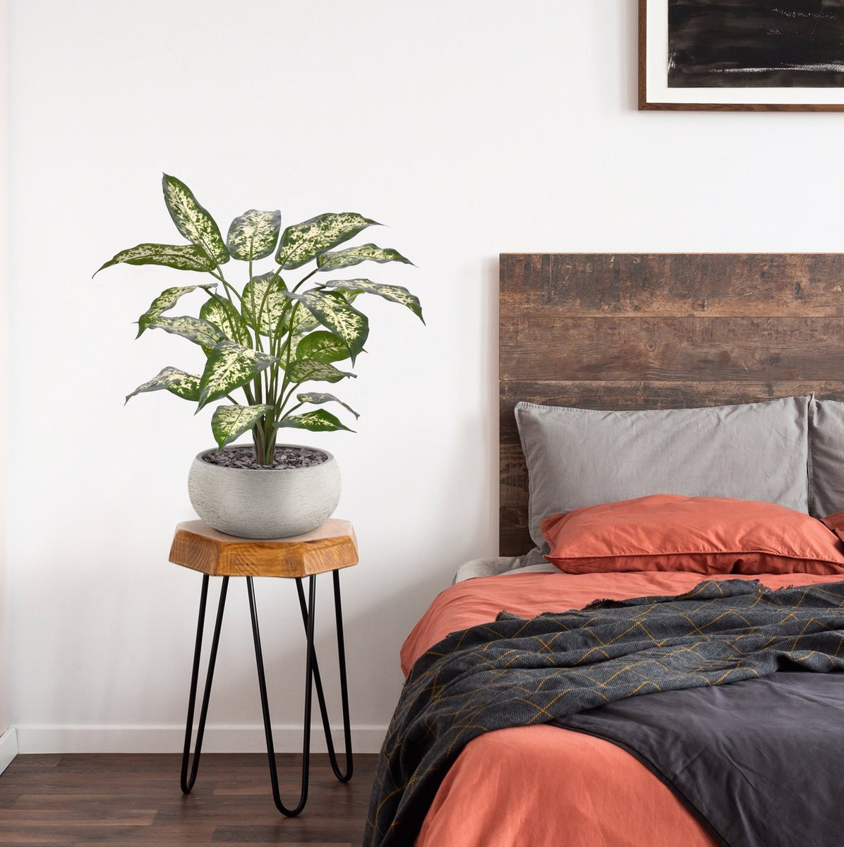 Maxifleur Dieffenbachia Kunstplant Deluxe, 60 cm