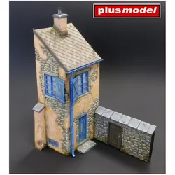 Plus Model French house