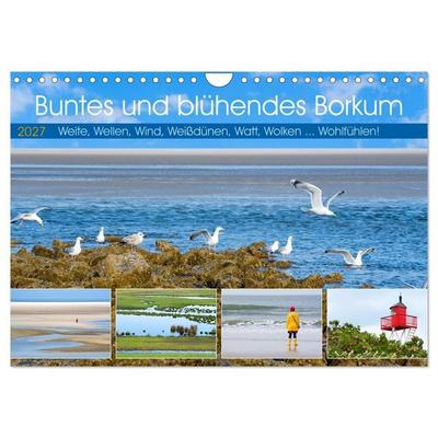 Buntes und blühendes Borkum (Wandkalender 2027 DIN A4 quer), CALVENDO Monatskalender