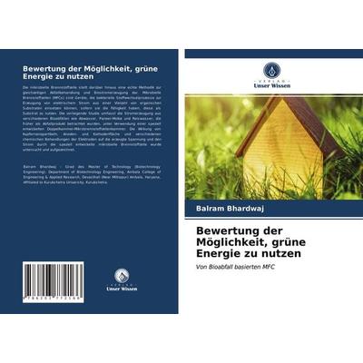 Bewertung der Möglichkeit, grüne Energie zu nutzen, Taschenbuch von Balram Bhardwaj, Verlag Unser Wissen, 978-620-3-77216-6