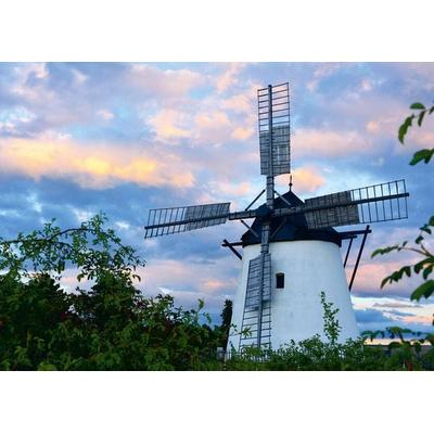Erwachsenenpuzzle 1000 Teile - Windmühle bei Retz