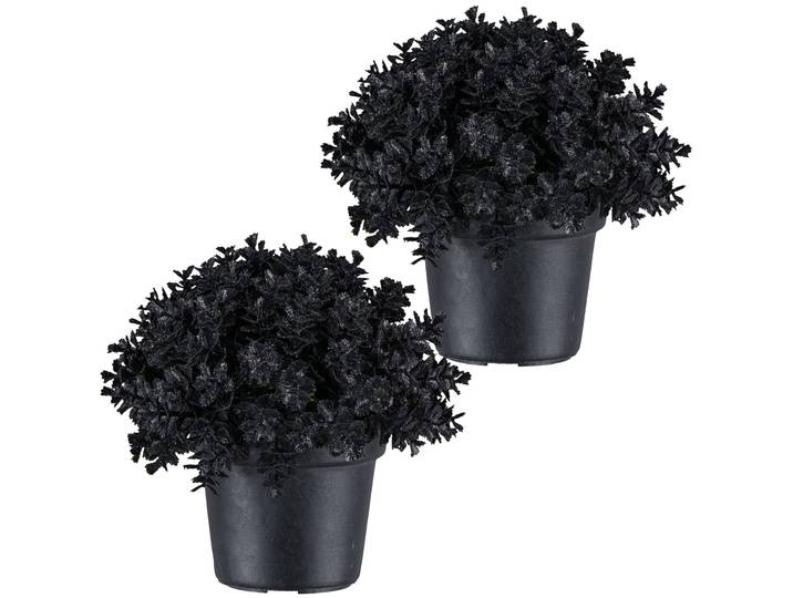 Kunstpflanze CREATIV GREEN Eukalyptus , schwarz, H:13cm, Kunststoff, Kunstpflanzen, Kunstpflanze, in Kugelform