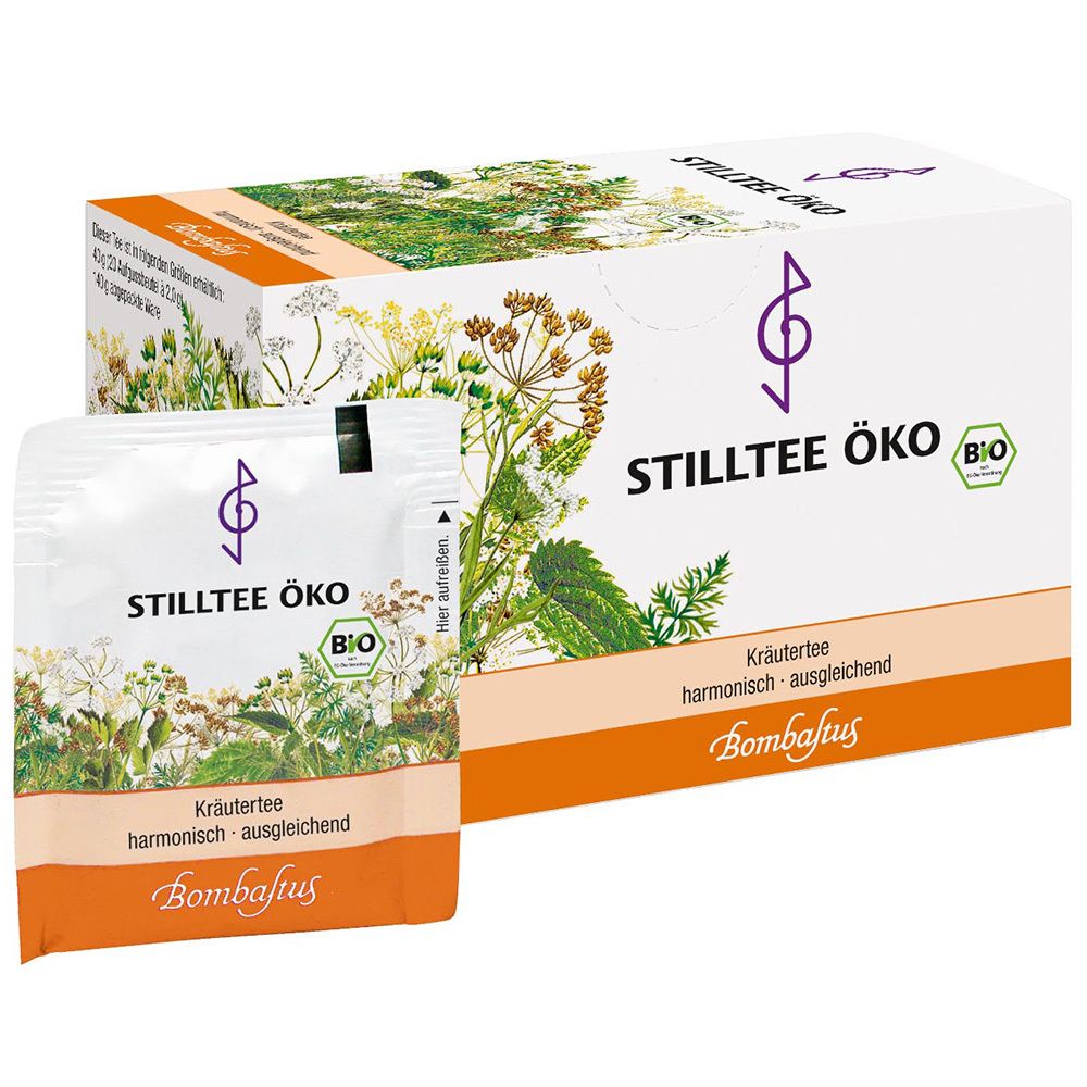 Stilltee Oeko Bio 20x2 g Filterbeutel