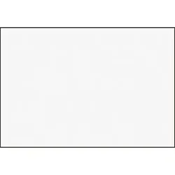 BRUNNEN Karteikarte 102250000 DIN A5 blanko ws 100 St./Pack.