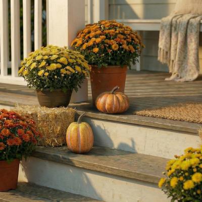 Regency International "7"" Vintage Farmstand Pumpkin and Gourd Set of 2"