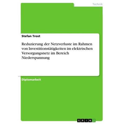 Reduzierung der Netzverluste im Rahmen von Investitionstätigkeiten im elektrischen Versorgungsnetz im Bereich Niederspannung, Taschenbuch von Stefan
