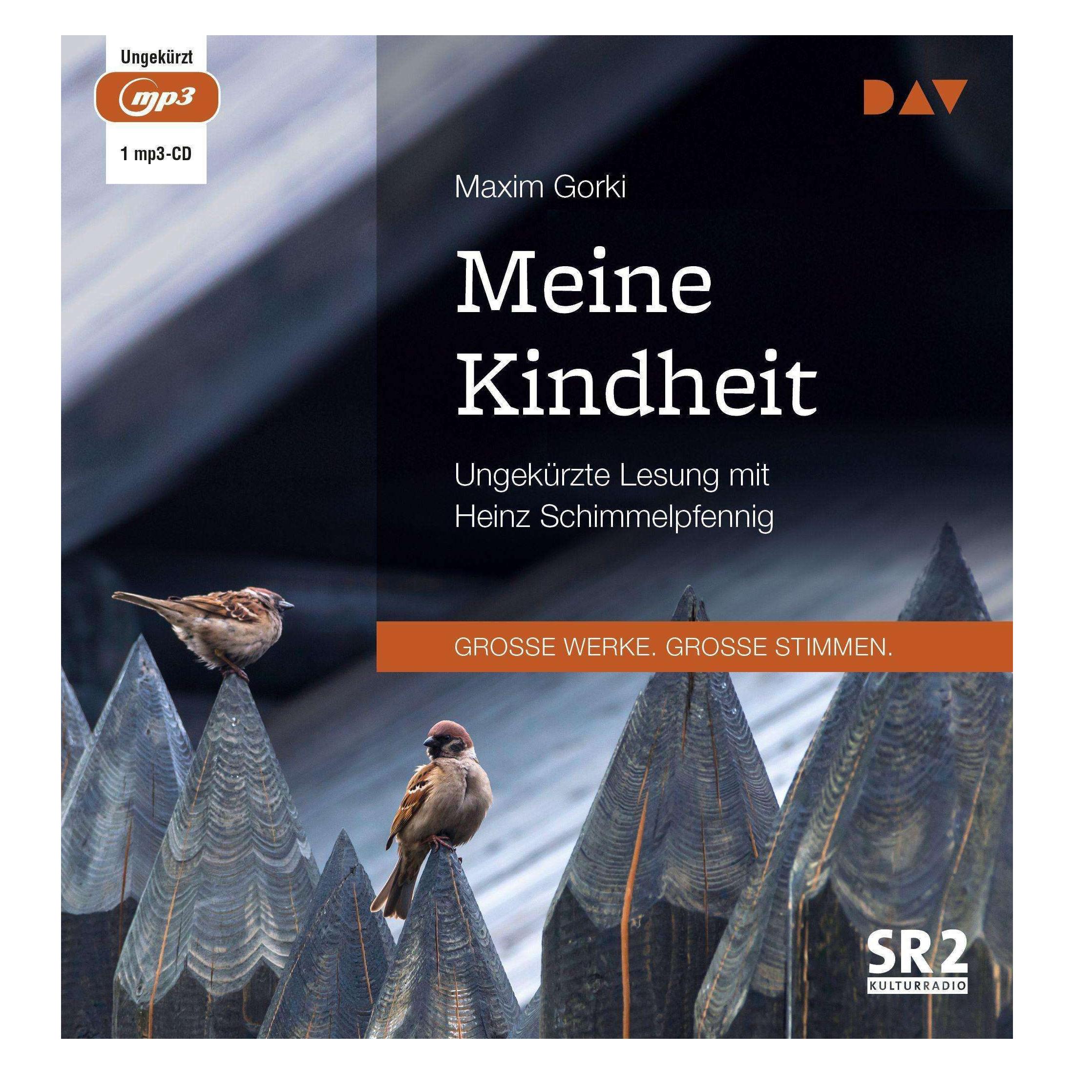 Audio Verlag Meine Kindheit (Georg Schwarz, Heinz Schimmelpfennig, Maxim Gorki, Deutsch) (20562763)