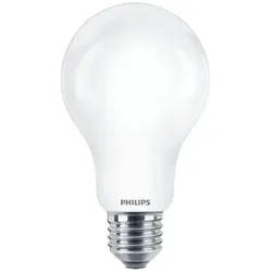 Leistungsstarke PHILIPS E27 CorePro LED Lampe in Birnenform 17,5W wie 150W 6500K kaltweißes Licht - mattiertes Glas