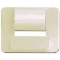 Busch-Jaeger Zentralscheibe elf/ws 6477-22G
