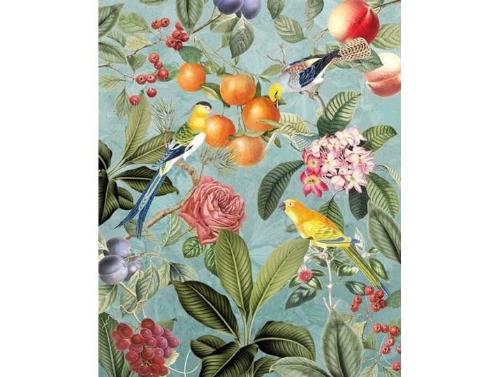 Komar Vlies Fototapete - Birds and Berries - Größe: 200 x 250 cm (Breite x Höhe) - Tapete, Design, Wohnzimmer, Wanddekoration, Schlafzimmer, Blumen, floral, Papagei, Vogel - LJX4-018