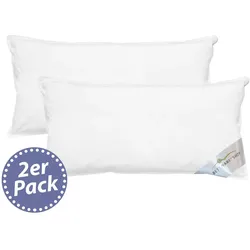 BettwarenShop Doppelpack Federkissen Comfort 100% Federn 40x80 cm