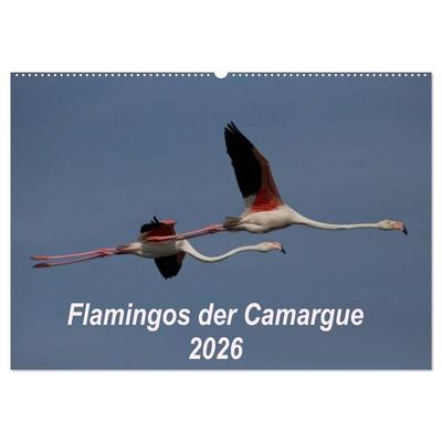 Flamingos der Camargue 2026 (Wandkalender 2026 DIN A2 quer), CALVENDO Monatskalender