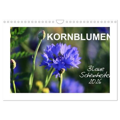 Kornblumen - Blaue Schönheiten (Wandkalender 2026 DIN A4 quer), CALVENDO Monatskalender