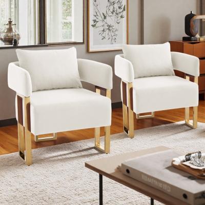 "24.41"" Velvet Modern Decorative Side Accent Chairs with Gold Metal Legs and High-Rebound Sponge and No Wheels"