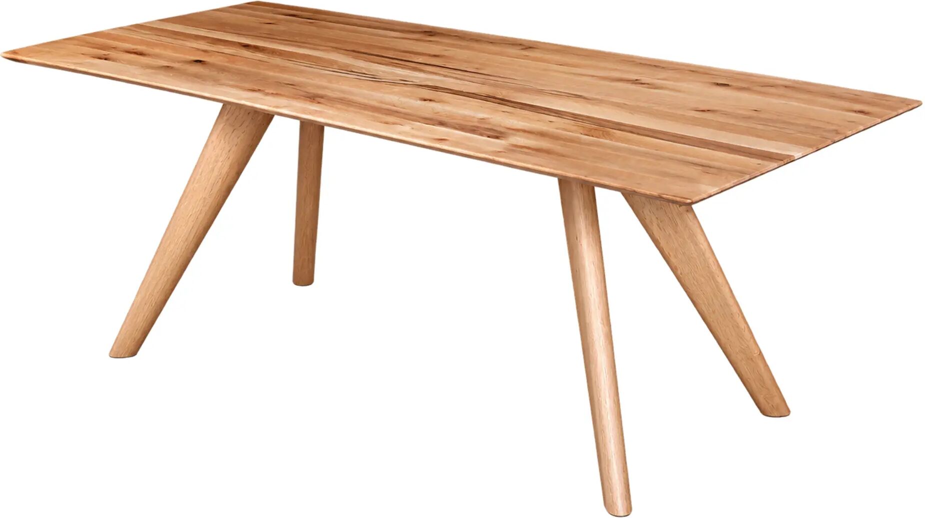 Sprenger Volano  Sumpfeiche