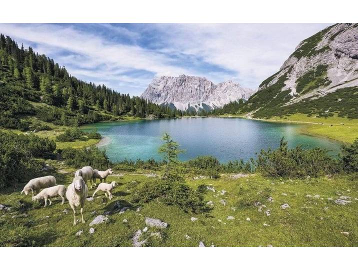 Fotobehang - Paradise Lake 400x250cm - Vliesbehang
