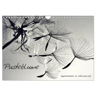 Pusteblume - Impressionen in schwarzweiß (Wandkalender 2026 DIN A4 quer), CALVENDO Monatskalender