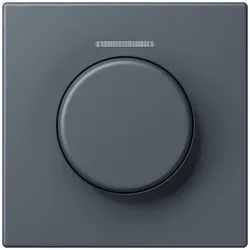 Jung Abdeckung mit Lichtleiter LC 1940 KO5 262