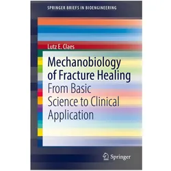 Mechanobiology of Fracture Healing, Fachbücher von Lutz E. Claes