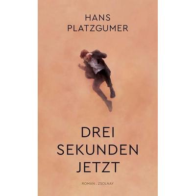 Drei Sekunden Jetzt, Gebundene Ausgabe von Hans Platzgumer, Zsolnay, Paul