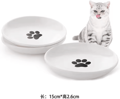 Inspire Curations Elevated Ceramic Pet Feeding Bowl With Non Slip Silicone Base without Silicone
