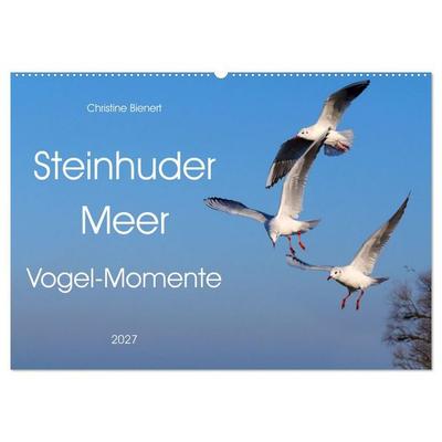 Steinhuder Meer, Vogel-Momente (Wandkalender 2027 DIN A2 quer), CALVENDO Monatskalender