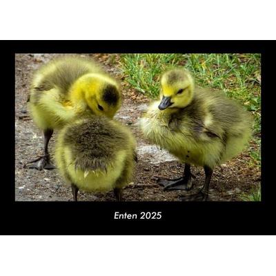 Enten 2025 Fotokalender DIN A3
