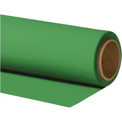 Walimex pro Hintergrundkarton 2,60x10m chroma Fotohintergrund Backdrop (260 cm), Hintergrundsystem, Grün