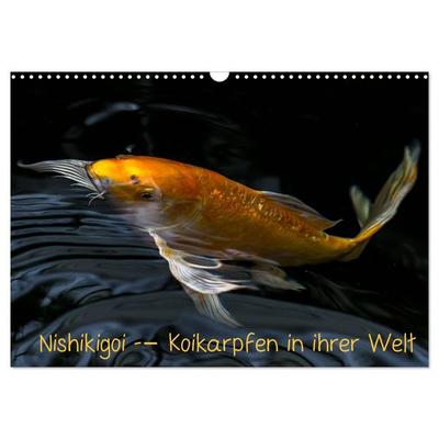 Nishikigoi – Koikarpfen in ihrer Welt (Wandkalender 2026 DIN A3 quer), CALVENDO Monatskalender