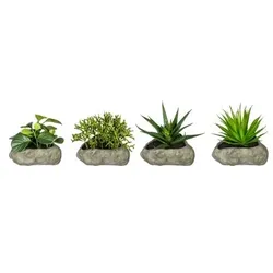 CREATIV green künstliche Pflanze Sukkulenten, 12-15cm, 4er Set