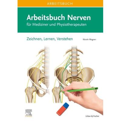 Arbeitsbuch Nerven, Gebundene Ausgabe von Nicole Wagner, Urban & Fischer in Elsevier, 978-3-437-44180-6