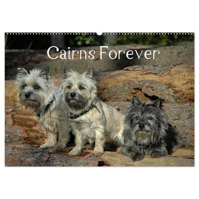 Cairns Forever (Wandkalender 2027 DIN A2 quer), CALVENDO Monatskalender