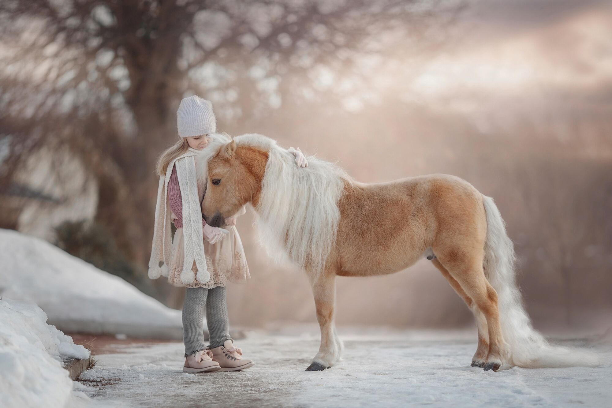 Fototapete PAPERMOON "PALOMINO MINIATURE PFERD-MÄDCHEN WINTER TIER PONY MINI", bunt, B:4m L:2,6m, Vlies, Tapeten, Fototapete bunt B/L: 4m x 2,6m, Bahnen: 8 Stk.