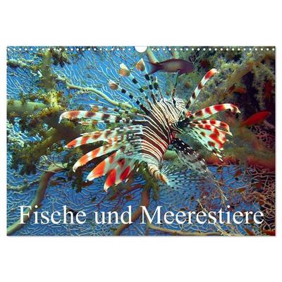Fische und Meerestiere (Wandkalender 2027 DIN A3 quer), CALVENDO Monatskalender