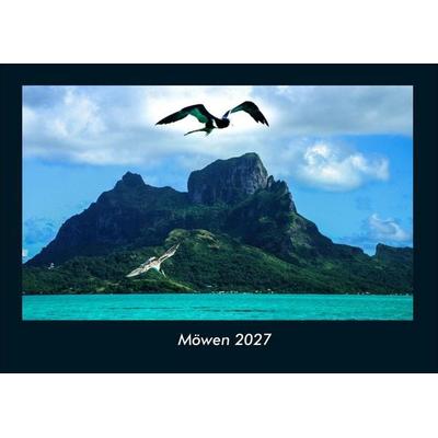 Möwen 2027 Fotokalender DIN A4