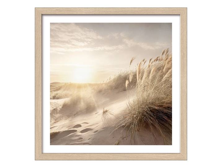 Holzbild Dune Grass At Sunrise Floatglas, MDF Gelb/Braun/Beige 33 x 33 x 1cm