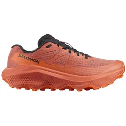 Salomon Herren Ultra Flow 2 rot 48.0