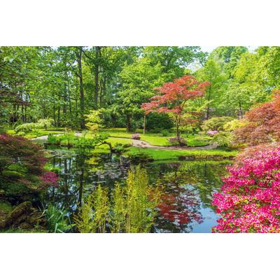 Fototapete PAPERMOON "GARTEN-BLUMEN BÄUME PFLANZEN STEINE WALD PARK BLÜTEN", bunt, B:3m L:2,23m, Vlies, Tapeten