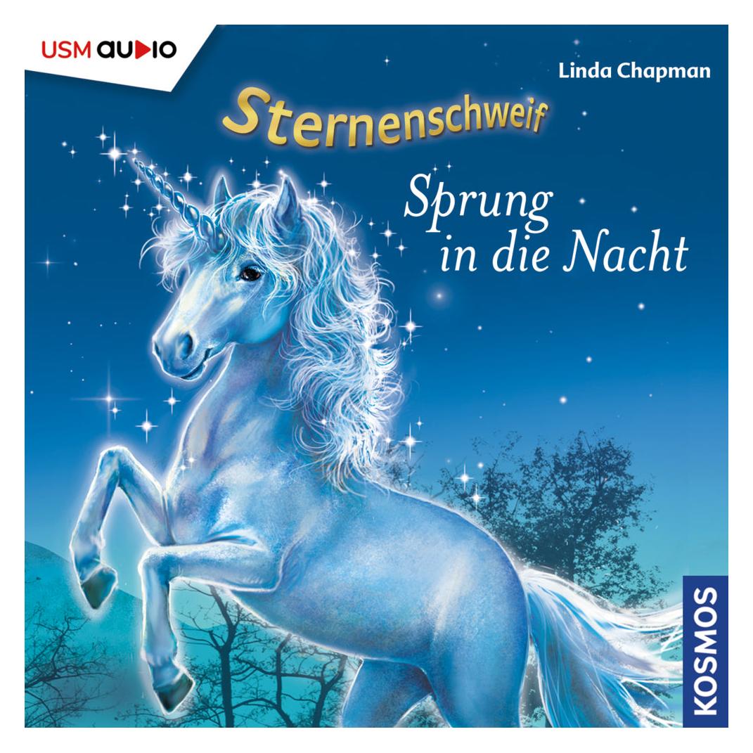 Rough Trade Sprung in die Nacht (Linda Chapman, United Soft Media Verlag GmbH, Deutsch) (3601)