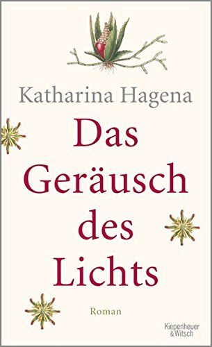 Katharina Hagena - Das Geräusch des Lichts: Roman - Preis vom 18.10.2026 19:22:15 h